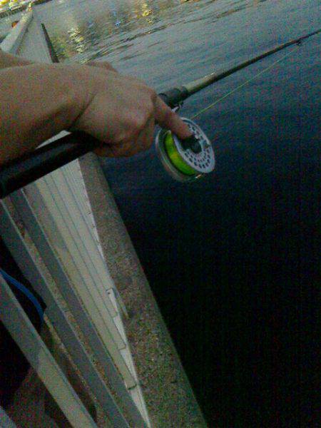 久しぶりに釣りに